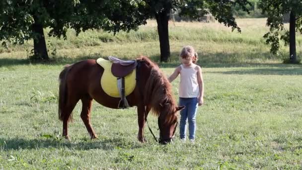 Lille pige og pony hest – Stock-video