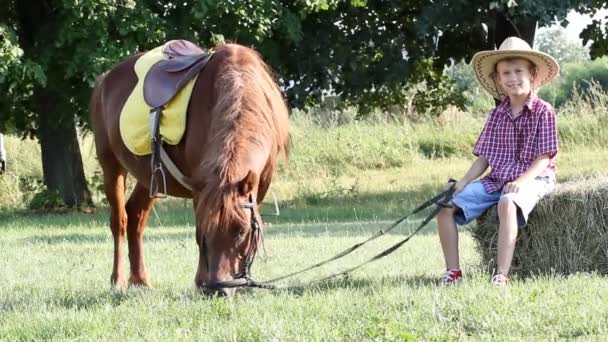 Menino e cavalo de pônei na fazenda — Vídeo de Stock