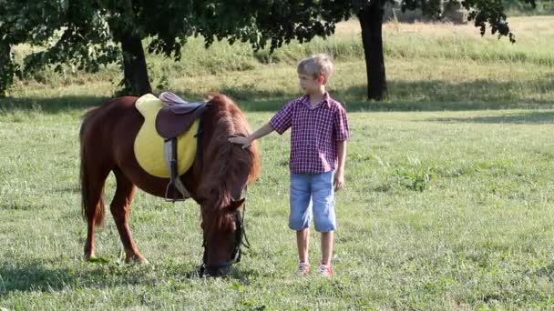 Pojke och ponny häst — Stockvideo