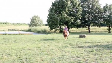 Çocuk sürme midilli at