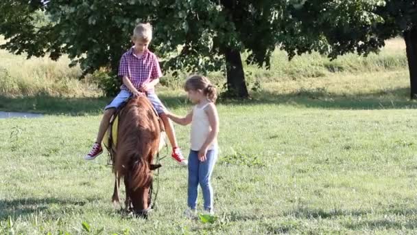 Glücklicher Junge und kleines Mädchen mit Pony Pferd — Stockvideo