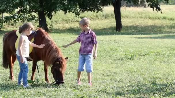 Klein meisje en jongen met pony paard — Stockvideo