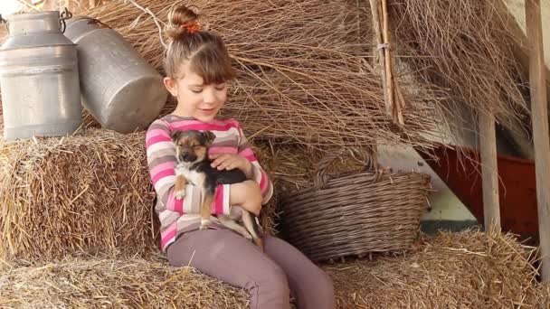 Happy little girl with puppy on farm — Stock Video