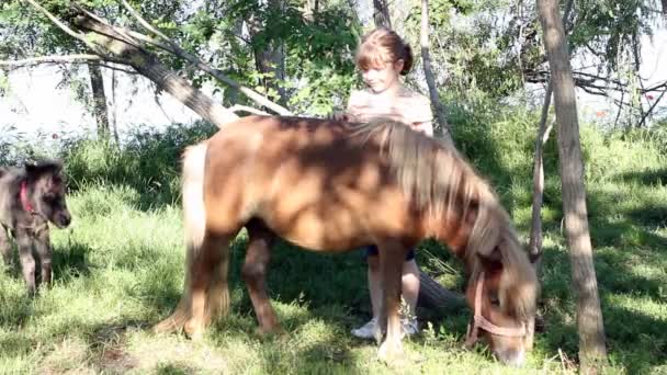 Little girl with pony horse and foal — Stock Video