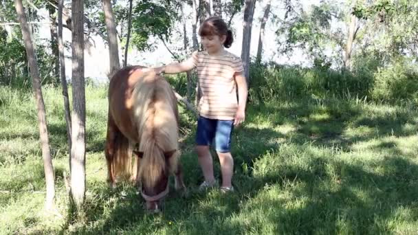 Liten flicka med ponny häst — Stockvideo