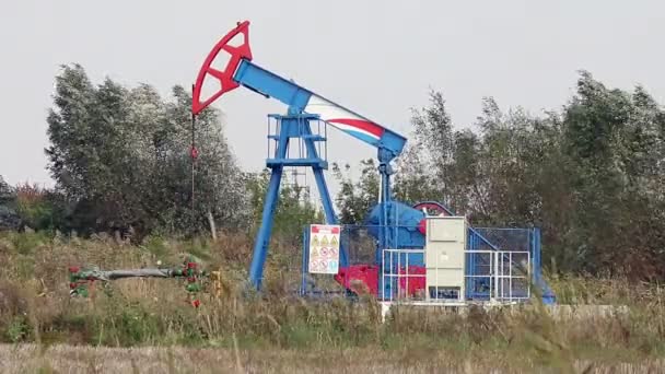 石油泵杰克风场上 — 图库视频影像