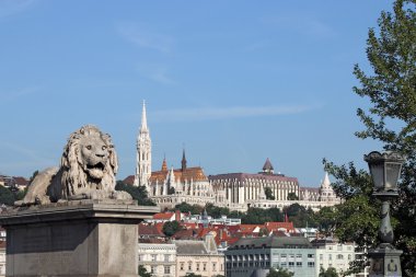 Zincir köprü aslan heykeli Budapeşte Macaristan