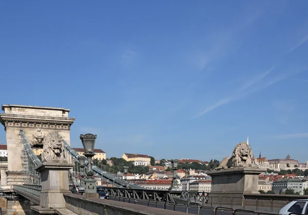 Ponte em cadeia com estátuas de leão Budapeste — Fotografia de Stock