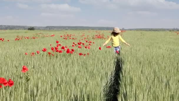 Petite fille marchant à travers un champ de blé — Video