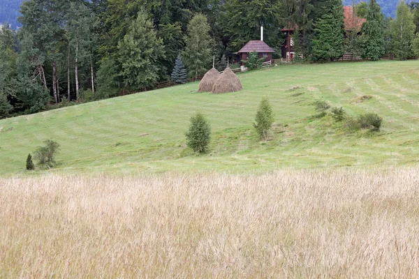 Bauernhof auf Hügel ländliche Landschaft — Stockfoto