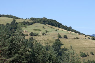 samanlık ve ağaçlar manzara ile Hill