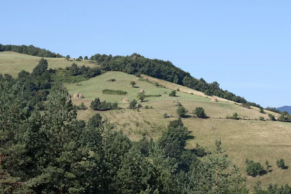 A szénakazalban és a fák a táj hegy — Stock Fotó