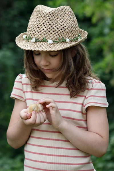 Meisje houdt van schattige gele kleine kip — Stockfoto