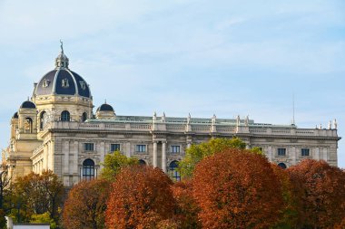 Viyana 'daki güzel eski bina, sonbahar mevsimi