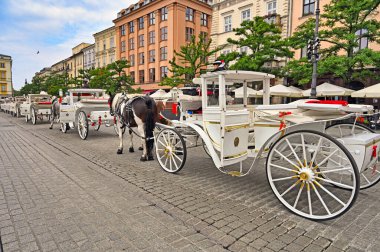 Polonya 'nın eski Krakow kasabasındaki Ana Pazar Meydanı' nda at arabaları.