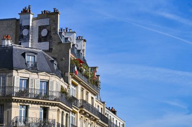 A typical balcony in Paris with a French flag and flowers