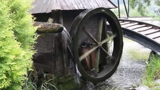 Wassermühlenrad — Stockvideo
