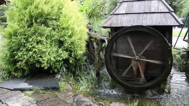Wassermühle aus Holz — Stockvideo