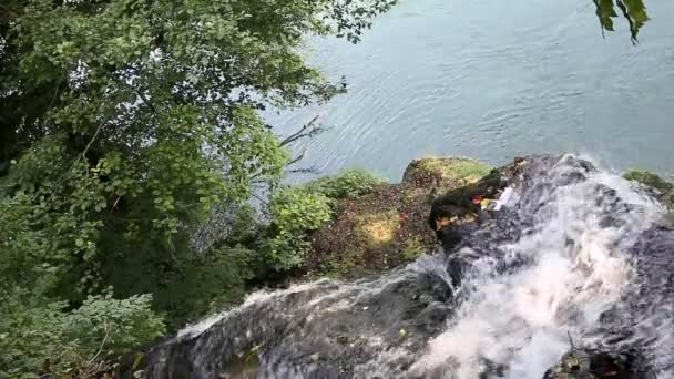 Corriente de agua de montaña que cae en la naturaleza del río — Vídeo de stock