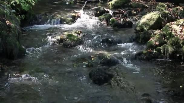 Naturaleza del arroyo montaña — Vídeo de stock