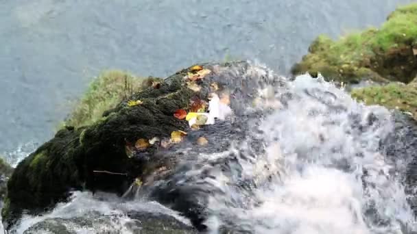 Water bergbeekcorriente de agua de montaña — Stockvideo