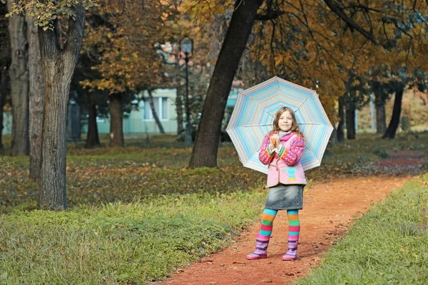 Krásná holčička s deštníkem v podzimním parku — Stock fotografie