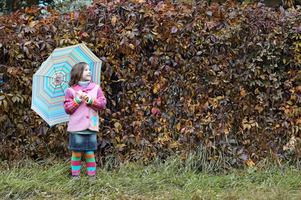 Little girl with umbrella autumn season — Stock Photo, Image