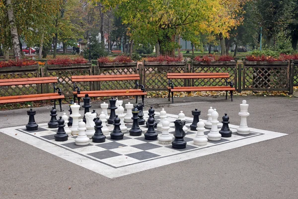 Schachfiguren im Herbst im Park — Stockfoto