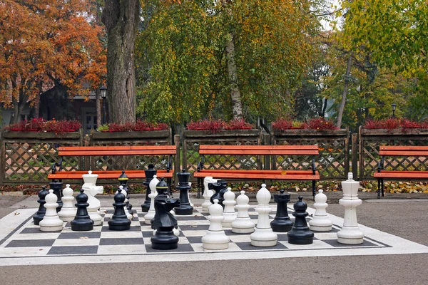 Chess figures in park autumn season — Stock Photo, Image