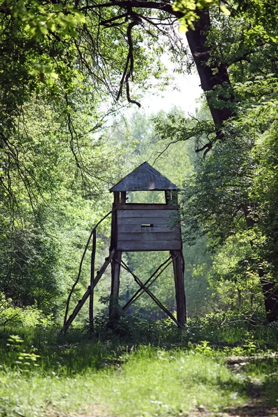 Torre de caçador de madeira na floresta — Fotografia de Stock