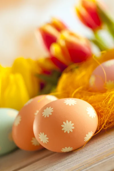 Ovos de Páscoa pintados e flores coloridas da primavera — Fotografia de Stock