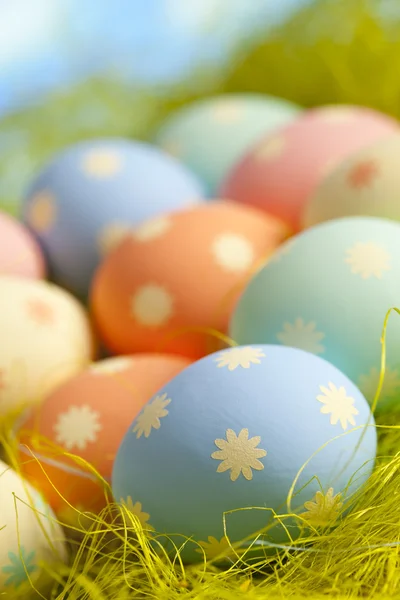 Painted Easter eggs in nest — Stock Photo, Image