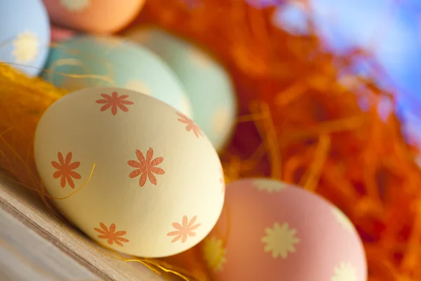 Uova di Pasqua in colore pastello — Foto Stock