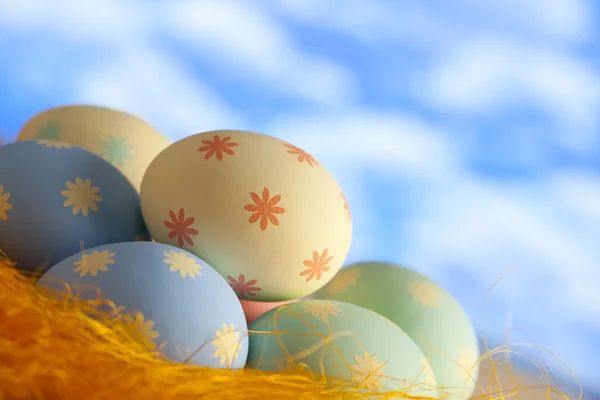 Húsvéti tojások a fészekben a kék ég háttér — Stock Fotó