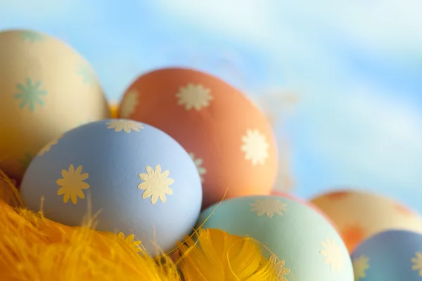 Барвисті великодні яйця і жовте пір'я на фоні блакитного неба — стокове фото