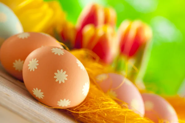 Huevos de Pascua y flores de colores sobre fondo natural —  Fotos de Stock