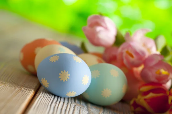 Пасхальные яйца и яркие весенние цветы на природе — стоковое фото
