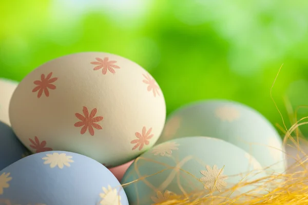 Ostereier im Nest vor Naturkulisse — Stockfoto