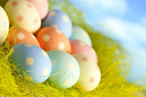 Malovaná velikonoční vajíčka v hnízdě na pozadí oblohy — Stock fotografie