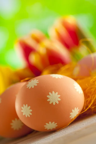 Huevos de Pascua y flores de colores sobre fondo natural —  Fotos de Stock