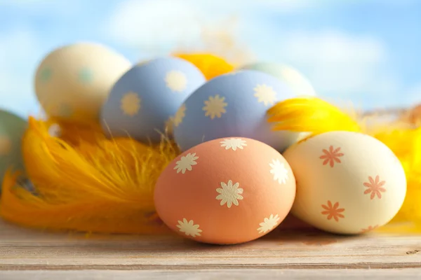 Bunte Ostereier und Federn auf blauem Hintergrund — Stockfoto