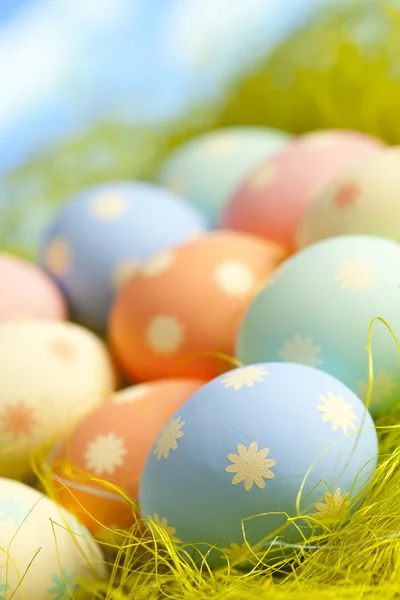 Painted Easter eggs in nest on sky background — Stock Photo, Image