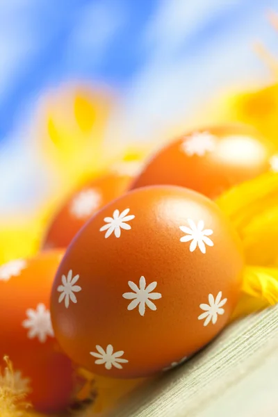 Huevos y plumas de Pascua sobre fondo natural —  Fotos de Stock