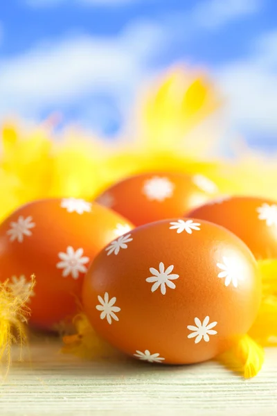 Uova di Pasqua e piume — Foto Stock