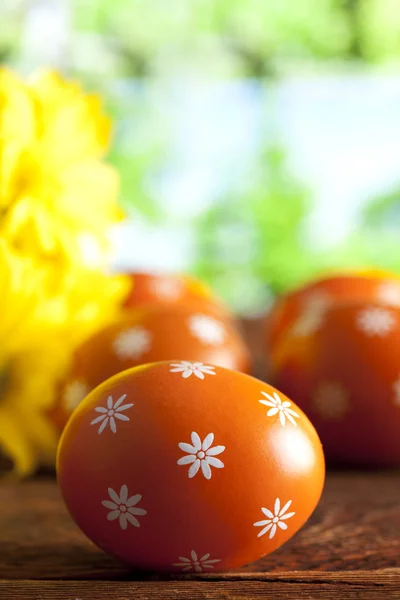 Orangefarbene Ostereier und gelbe Blumen auf Naturhintergrund — Stockfoto