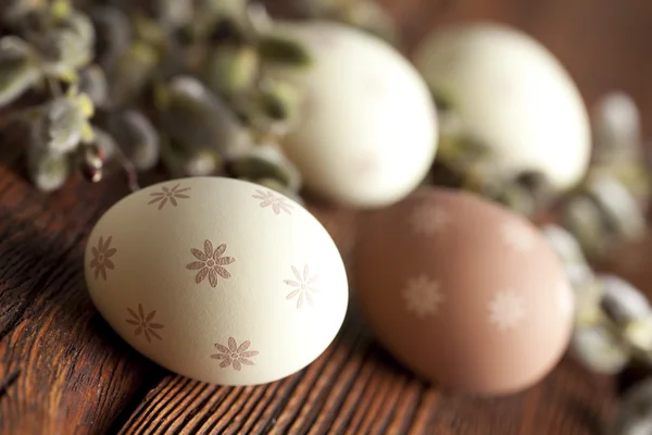 Uova di Pasqua marroni e bianchi e fiori di salice figa — Foto Stock