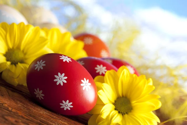 Red Easter eggs and yellow flowers on nature background — Stock Photo, Image