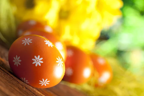 Великодні яйця і квіти на фоні природи — стокове фото