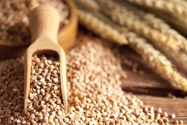 Buğday ve ahşap Kepçe