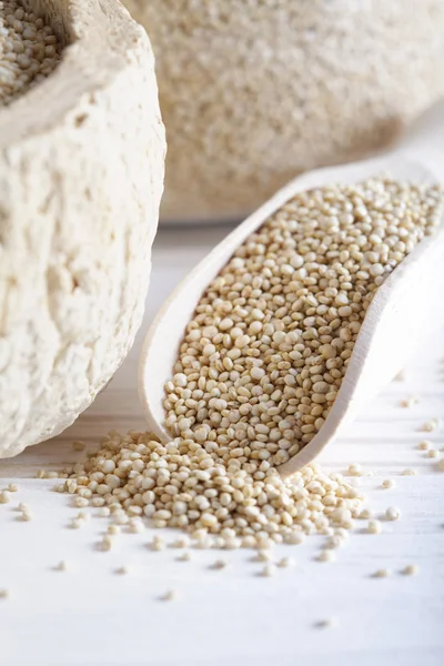 White quinoa in bowl — Stock Photo, Image